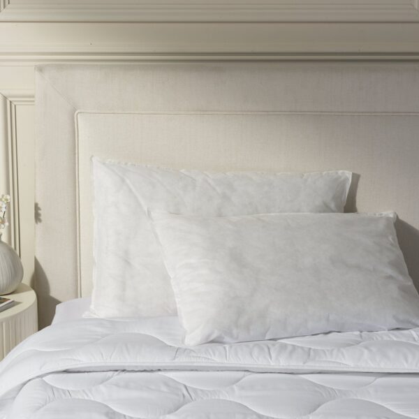 Home Essentials Everyday Soft Pillow - 2 Pack